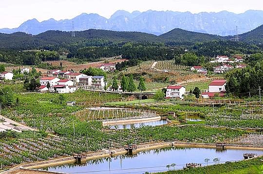 仁源水處理材料廠家火山巖生物濾料農村人居環境整治全面推開 補齊短板合力上新臺階