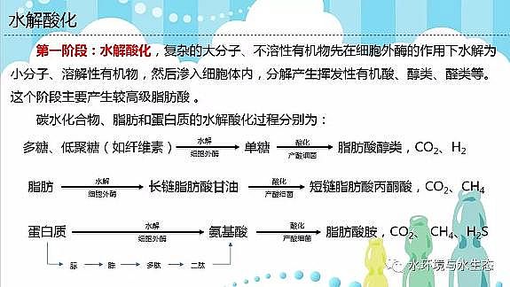 水處理填料廠家生物流化床填料活性污泥法兩大主流技術(shù)厭氧生物處理與好氧生物處理的區(qū)別