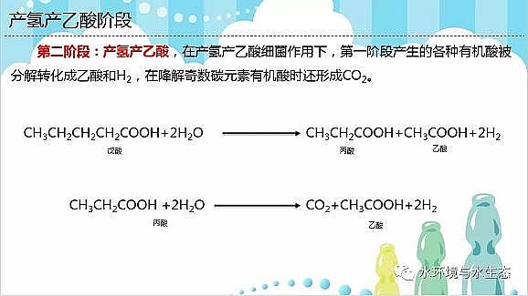 水處理填料廠家生物流化床填料活性污泥法兩大主流技術(shù)厭氧生物處理與好氧生物處理的區(qū)別