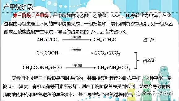 水處理填料廠家生物流化床填料活性污泥法兩大主流技術(shù)厭氧生物處理與好氧生物處理的區(qū)別