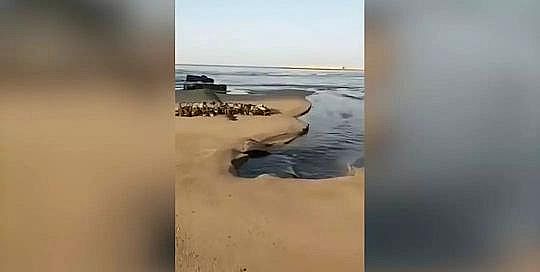 2020年消毒劑氯錠生產(chǎn)廠家煙臺(tái)環(huán)境局通報(bào)“入海管道排污”:管道上游全封閉下游全拆除