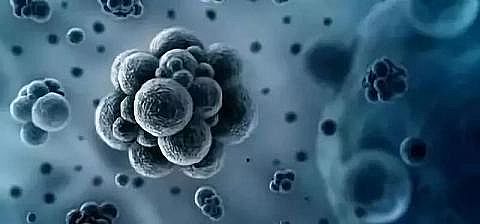 水處理活性炭生產(chǎn)廠家柱狀活性炭漲知識空氣凈化器如何選擇?科學原理一說你就懂!