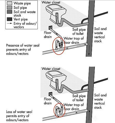 ��Ч�Y���Ȼ��X�S���Pע��ˮϵ�y���Д���йڠ�������ġ��[�Ρ�;�����_���Ӽҽ���