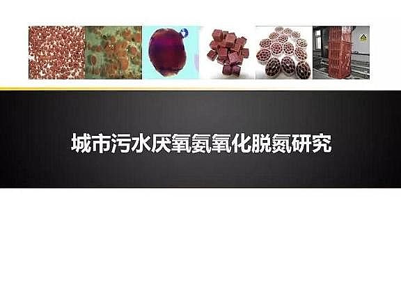 ���|�w�S���������a�S�ҳ�����ˮ����������Ó���о�