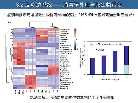 ��Ч�w�S��V�����a�S��ˮ�������c��ˮ����̎����ˇ�\����������