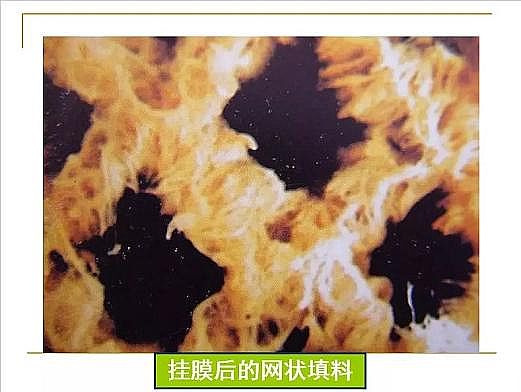 ˮ̎��V�ϏS�ҟo��ú�V����ȫ������Ĥ��PPT�v�⣺ԭ�������̡��OӋӋ��