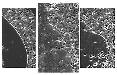 Ҭ������̿2-4mm���a�S�ҡ�����ƥ�䡿��ˮ���^����� �ܴ����������������