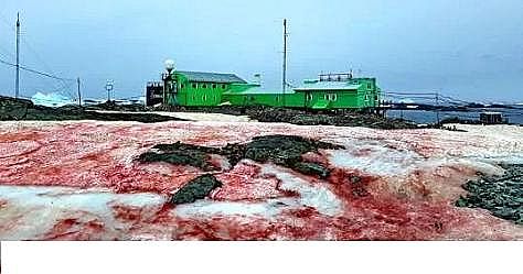 ˮ̎���������w�����������a(ch��n)�S������ˮ�ա���݋ˮ�c���׃��