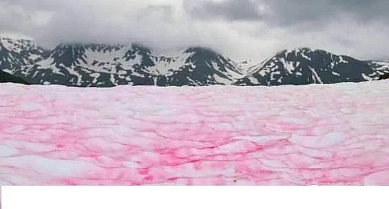 ˮ̎���������w�����������a(ch��n)�S������ˮ�ա���݋ˮ�c���׃��