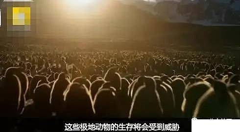 ˮ̎���������w�����������a(ch��n)�S������ˮ�ա���݋ˮ�c���׃��