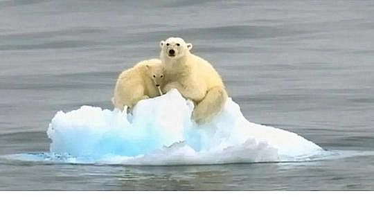 ˮ̎���������w�����������a(ch��n)�S������ˮ�ա���݋ˮ�c���׃��