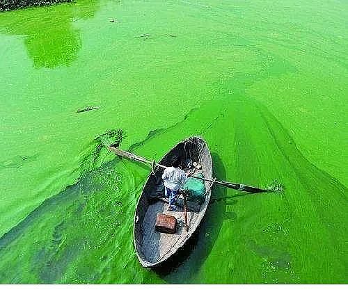 ˮ̎���������w�����������a(ch��n)�S������ˮ�ա���݋ˮ�c���׃��