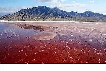 ˮ̎���������w�����������a(ch��n)�S������ˮ�ա���݋ˮ�c���׃��