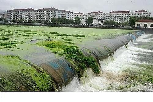 ˮ̎���������w�����������a(ch��n)�S������ˮ�ա���݋ˮ�c���׃��