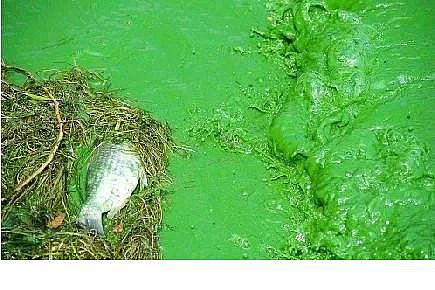 ˮ̎���������w�����������a(ch��n)�S������ˮ�ա���݋ˮ�c���׃��