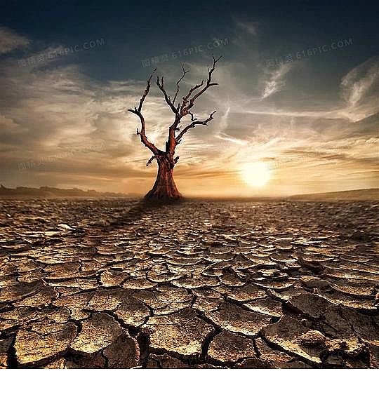 ˮ̎���������w�����������a(ch��n)�S������ˮ�ա���݋ˮ�c���׃��