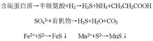 ��Դˮ̎��ˎ���Y���Ȼ��X���a�S�ҳ��кڳ�ˮ�w����Ⱦ�F������u�r�������������g�c����