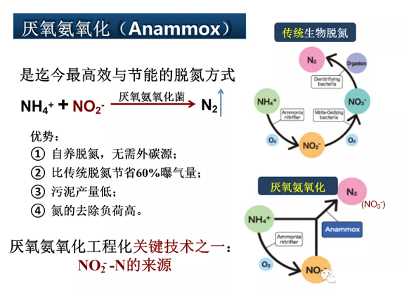 2020年固體除磷劑廠家污水脫氮除磷研究的新進展