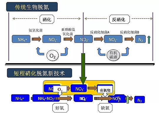 2020年固體除磷劑廠家污水脫氮除磷研究的新進展