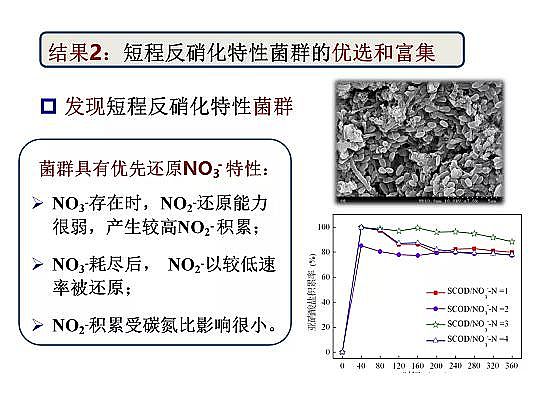 2020年固體除磷劑廠家污水脫氮除磷研究的新進展