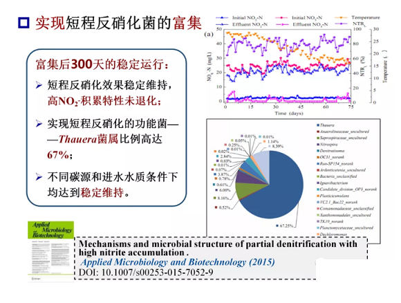 2020年固體除磷劑廠家污水脫氮除磷研究的新進展