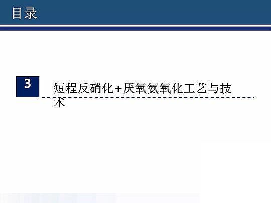 2020年固體除磷劑廠家污水脫氮除磷研究的新進展