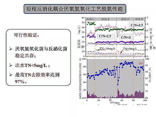 2020年固體除磷劑廠家污水脫氮除磷研究的新進展