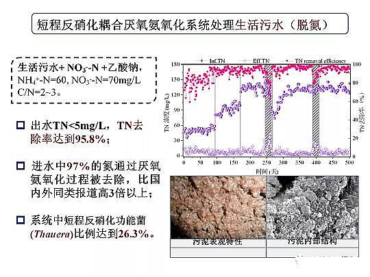 2020年固體除磷劑廠家污水脫氮除磷研究的新進展