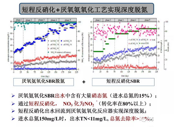 2020年固體除磷劑廠家污水脫氮除磷研究的新進展