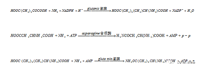 ��Ч�x�ӽ��Q��֬�S��ȫ�����|A2/OؼMBR��BBR��ˇ���x����Ԕ��!