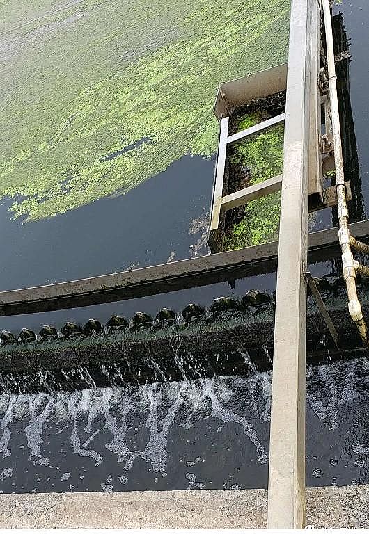 ��ĭ�V��V��EPS1-2mm���a�S��MBR���ﷴ�������\�й���