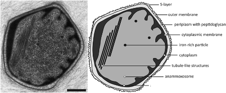 ��Ҏ���F̼΢늽��������a�S�҅���������һ���P�ڕr�g�����ĵĹ���- ��43��ǰՄ��