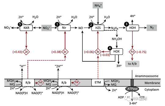 ��Ҏ���F̼΢늽��������a�S�҅���������һ���P�ڕr�g�����ĵĹ���- ��43��ǰՄ��