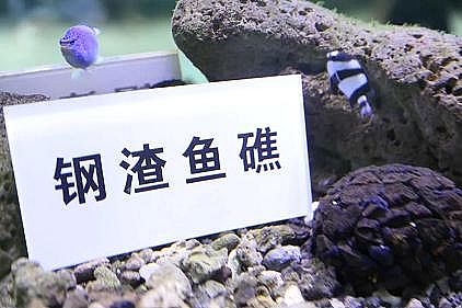 ����5A���ӺY�S�ҡ�����������F�S�����Uˮ���ŷţ�������B�~