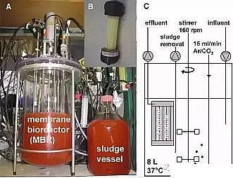 精制固體除磷劑水處理藥劑廠家新型生物脫氮除磷能否解決污水處理瓶頸?