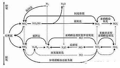 精制固體除磷劑水處理藥劑廠家新型生物脫氮除磷能否解決污水處理瓶頸?