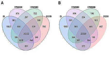 �h����ˮñ���a�S�ҷ��������B͸̎��퓎r���_�ɏUˮ�����ڹ��