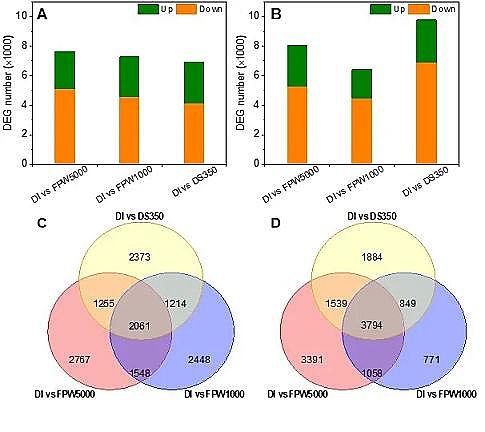 �h����ˮñ���a�S�ҷ��������B͸̎��퓎r���_�ɏUˮ�����ڹ��