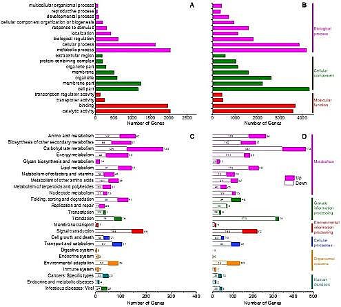 �h����ˮñ���a�S�ҷ��������B͸̎��퓎r���_�ɏUˮ�����ڹ��