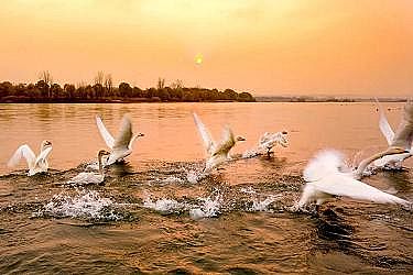 ��Ʒ�|�������������c���a�S�������ذ����h���_��ȫ�����M�S�Ӵ��o������