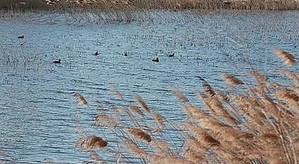 ��Ʒ�|�������������c���a�S�������ذ����h���_��ȫ�����M�S�Ӵ��o������