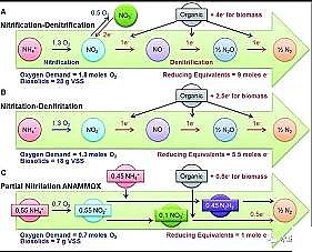 �h���F̼΢늽����ϏS���������Ӷ̷̳�����-����������Ҏģ�������о�