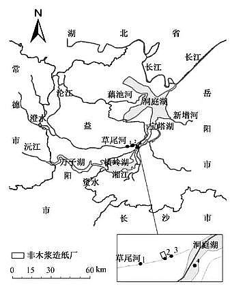 ��ʽҬ������̿���a(ch��n)�S����Ư��ľ�{�켈�S��߅ˮ�w�͵�����PCDD/Fs��ͬϵ�(g��u)�ɼ��L(f��ng)�U�u�r