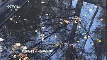 新型核桃殼濾料廠家幾年投入近20億元,水質仍是劣V類!哪里出了問題?