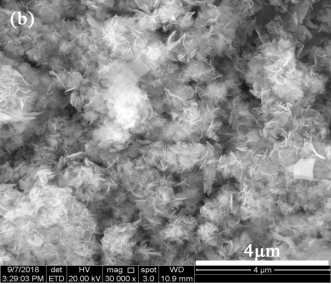 ��Ʒ�|(zh��)3A���ӺY���a(ch��n)�S�����ЙC(j��)��x��Ⱦ�ϏUˮ����̎��ȡ�����M(j��n)չ