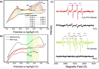 2021���ܛ���������a�S�ҾGɫ���D����ԭ�Ӛ�錧���p��ˮ�߀ԭ��^��