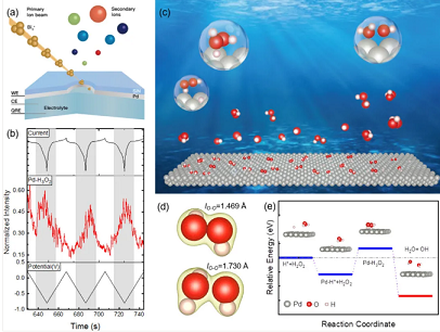 2021���ܛ���������a�S�ҾGɫ���D����ԭ�Ӛ�錧���p��ˮ�߀ԭ��^��