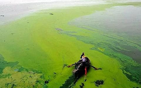 ����ˮ̎��ˎ���ͺ�̼Դ���a�S��ʲô��ˮ�w���I�B��?Σ������Щ?��η���?