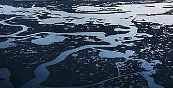 �¿�Aʽ�Ȼ��X�S���P(gu��n)��ˮ�a(ch��n)�B(y��ng)ֳ�I(y��)�Uˮ��̎��