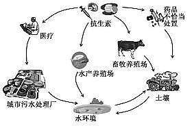 ���������͚��������a(ch��n)�S����Ȼˮ�h(hu��n)���п����ص���Ⱦ�F(xi��n)���(l��i)Դ��Σ��